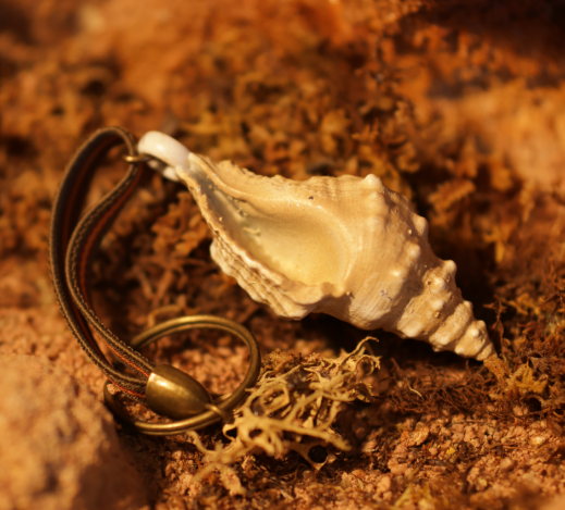 Llavero caracola rehalero