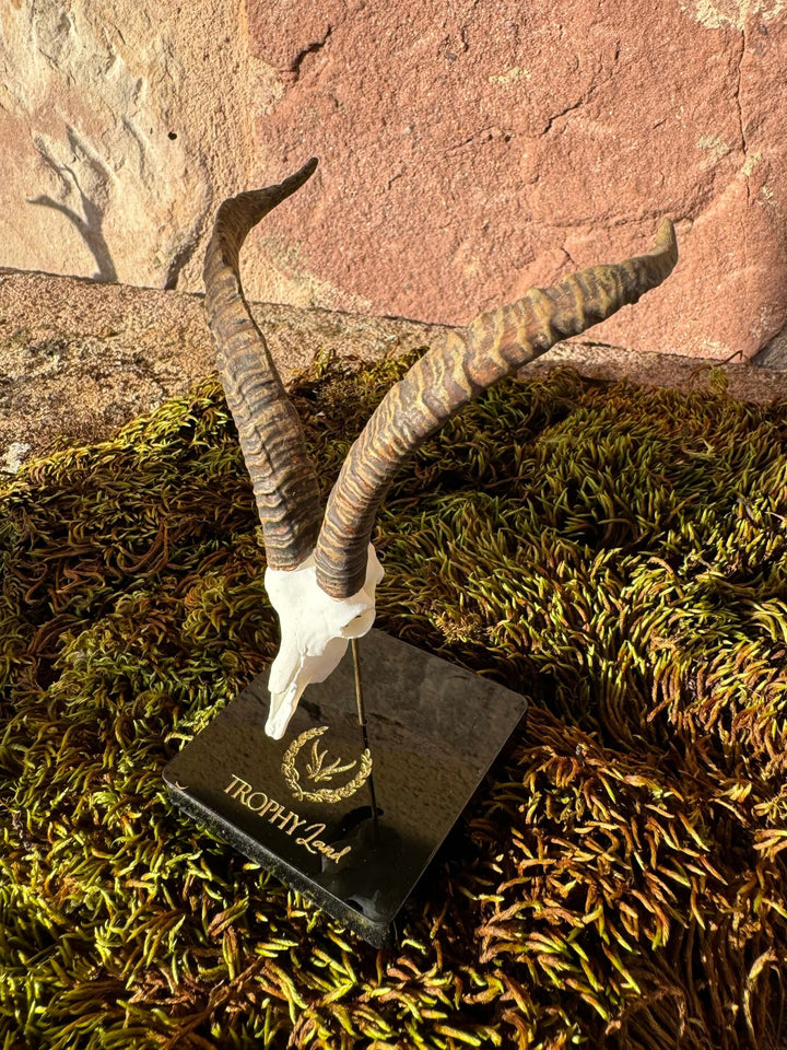 img_2831