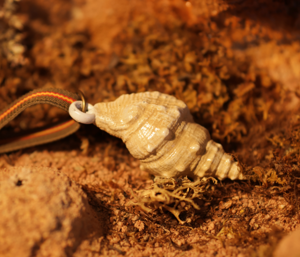 Llavero caracola rehalero
