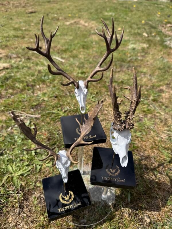 Pack 3 trofeos en peana a elegir