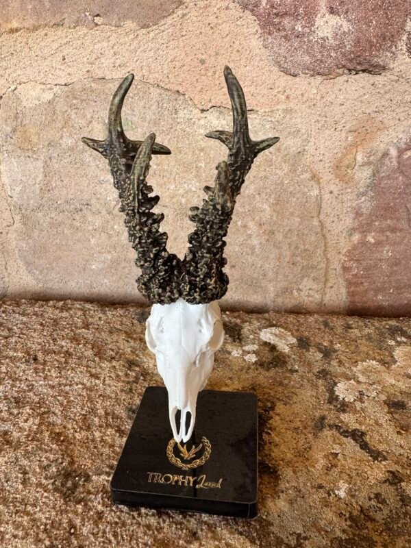 Trofeo en peana "El corzo de Cuenca" - Imagen 4