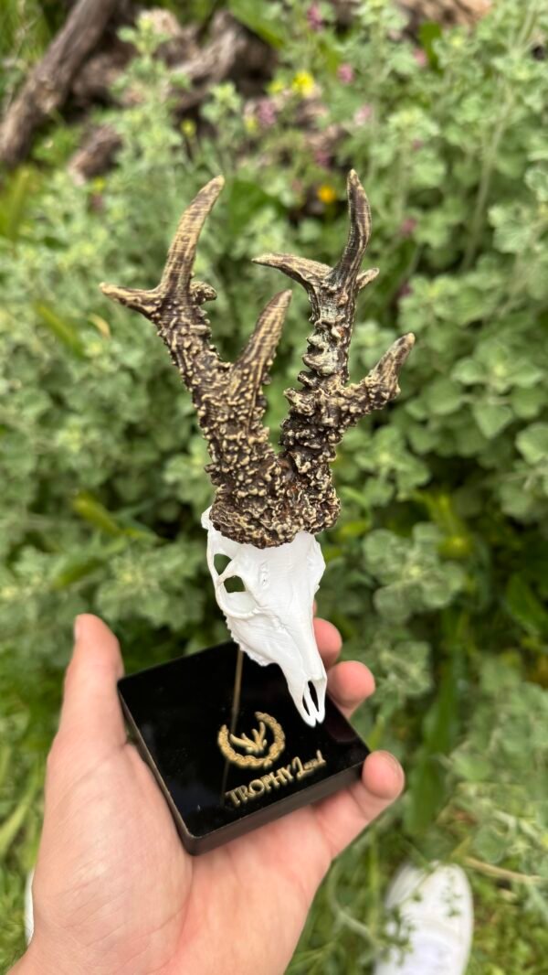 Trofeo en peana "El corzo de Cuenca" - Imagen 3